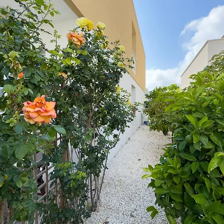 Villa Jasmine With Pool In Universal *